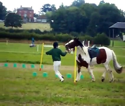 South Trent Pony Club Mounted Games Team **PC CHAMPS 2010**