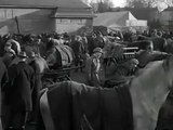 Öppet arkiv - Hästmarknad 1932