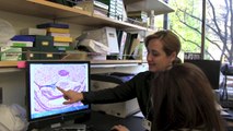Using neural stem cells to treat brain tumors - Dr. Margarita Gutova | City of Hope