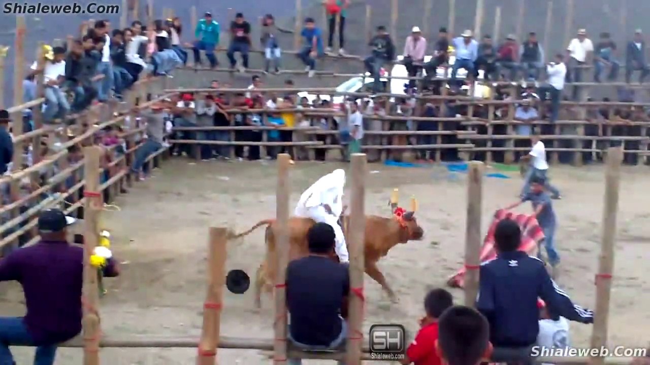 SUPER JARIPEO RANCHERO DE PUEBLO EN VILLA HIDALGO YALALAG OAXACA MEXICO DONDE JINETES AFICIONADOS MONTAN TOROS MEDIANOS POR DIVERSION JUNIO 2015