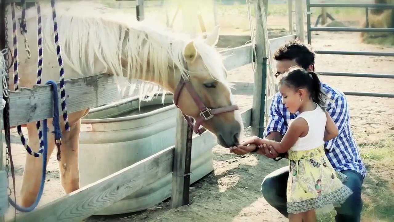 Alex Campos - Dije adiós