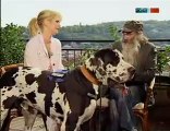 TV-mdr grösster hund deutschlands,Dogge Bodyguard