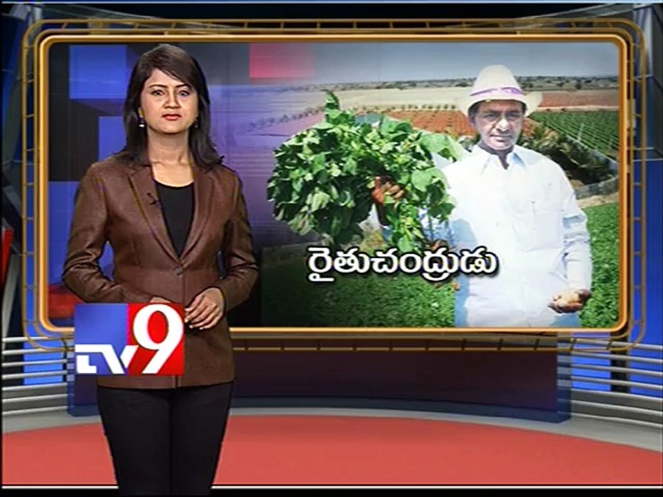 CM KCR plans to cultivate Ginger in his farm house land