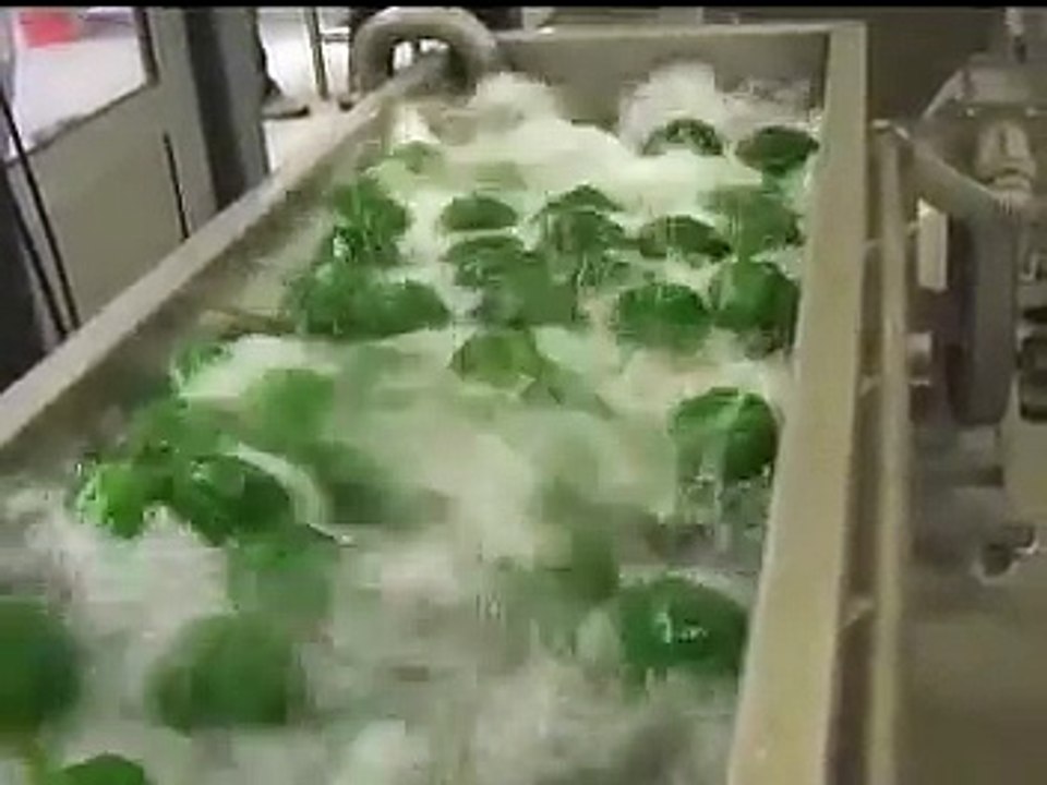 KRONEN GEWA 3800 V Lavadora de vegetales automática (pepinos y pimiento)