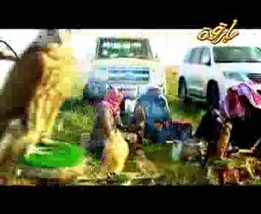 واطيري  حامد الضبعان  جديد