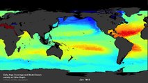 Daily Argo Coverage and Model Ocean salinity at 150m Depth