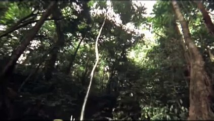 Greystoke's The Legend of Tarzan Lord of the Apes Voice-Over