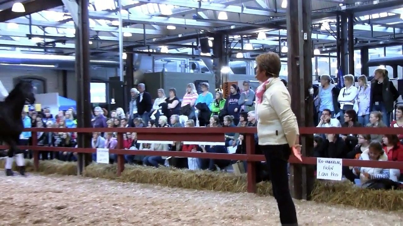 Hästmässan 2011 Åhaga Borås.mp4