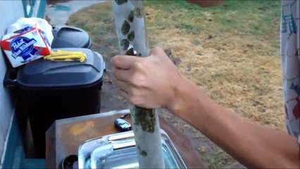 How To Make Shatter ( Vacuum Purge)