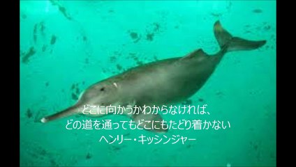 植野瞬（旅行ガイド）の歩く道～ヘンリー・キッシンジャーの道～
