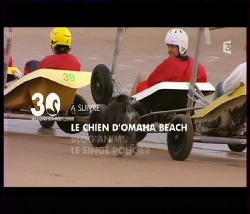 30 millions d'amis Rantanplan