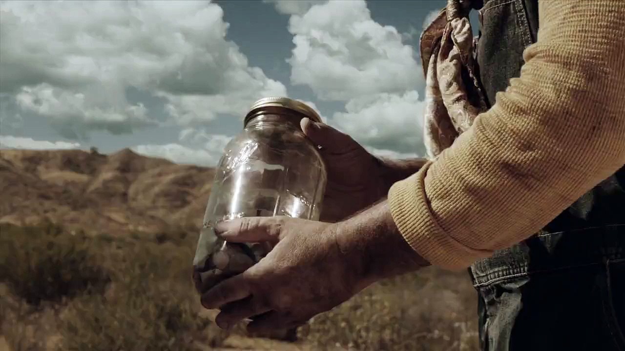 Pub du siècle : comment conserver vos pets des années ?