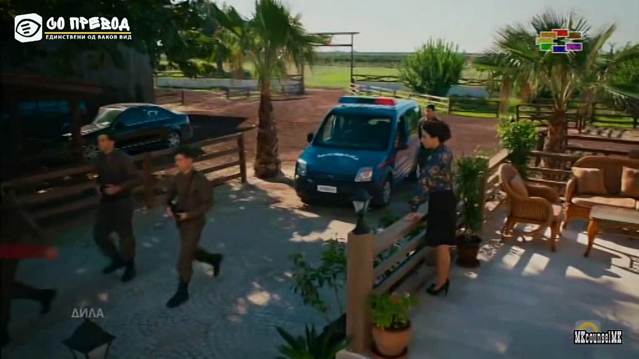 dila 19