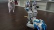 Un robot à 8000€ glisse ridiculement devant un chien !