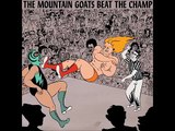 The Mountain Goats - The Ballad of Bull Ramos