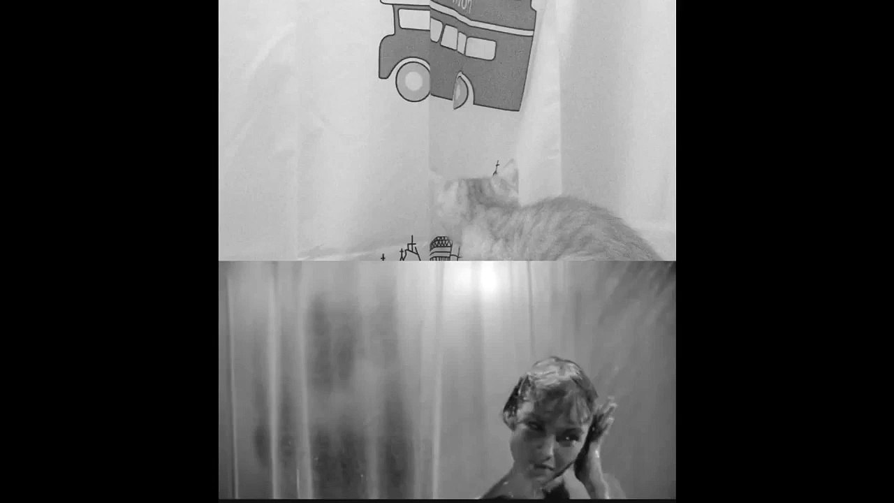 Un remake de "Psychose" avec des chatons
