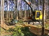 Lako harvesting of Eucalyptus at Aracruz, Brazil