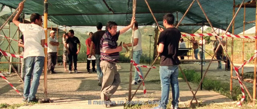 LES MILLE ET UNE NUITS VOLUME 2, LE DÉSOLÉ - Bande-annonce VO