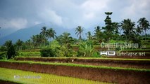 UHD, Ultra HD 2K 4K 5K  Video Time Lapse Stock Footage South East Asia