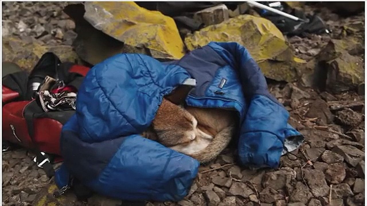 Amazing Tribute To His Dog Will Make You Bawl Your Eyes Out...GRAB KLENIX