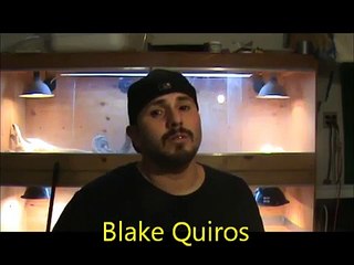 incubator set up / for my bearded dragon eggs