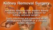 Kidney Removal Surgery - Causes, Types, Recovery