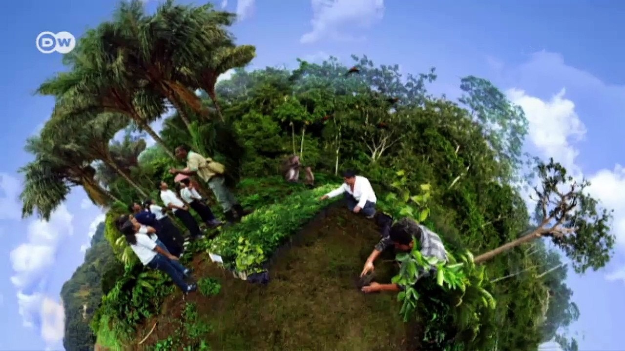 Wie die Mayas ihren Regenwald retten | Global 3000