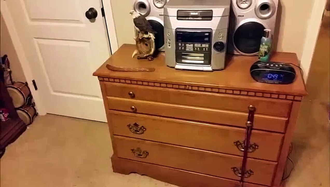 il a besoin de 5 réveils et encore ça ne le réveilles pas