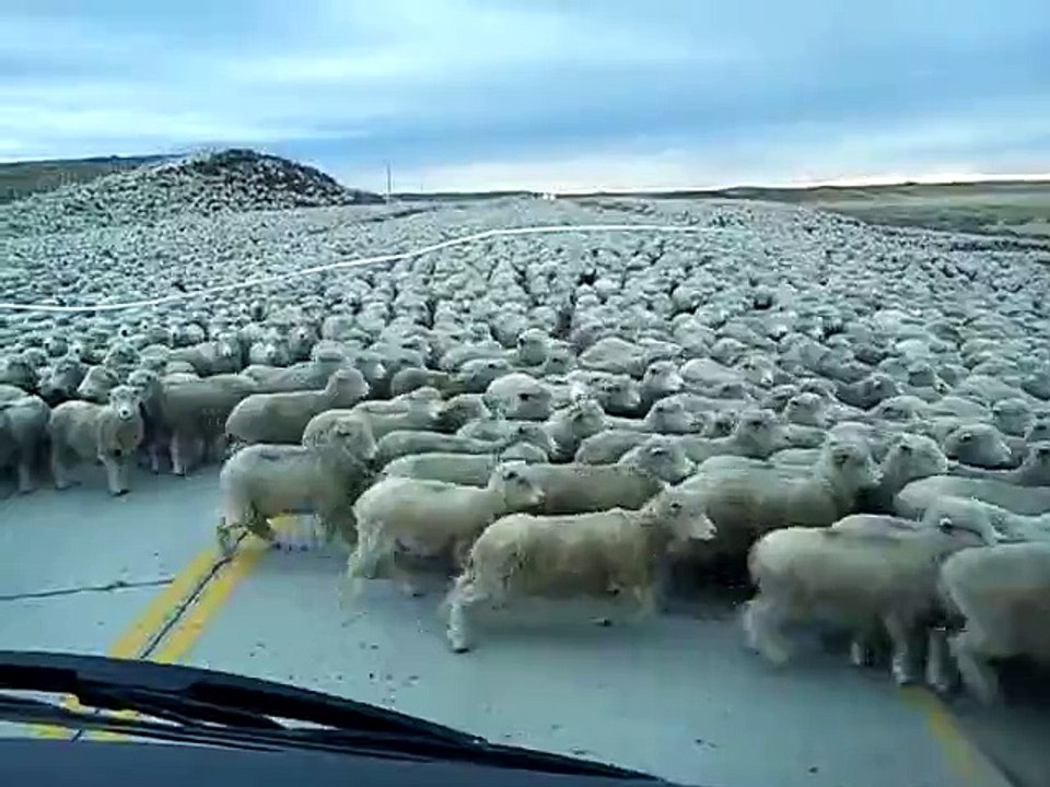 CAN YOU COUNT