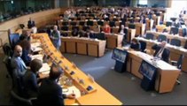 Annie Machon - European Parliament Committee - NSA Mass Surveillance of EU Citizens - Sept.30, 13