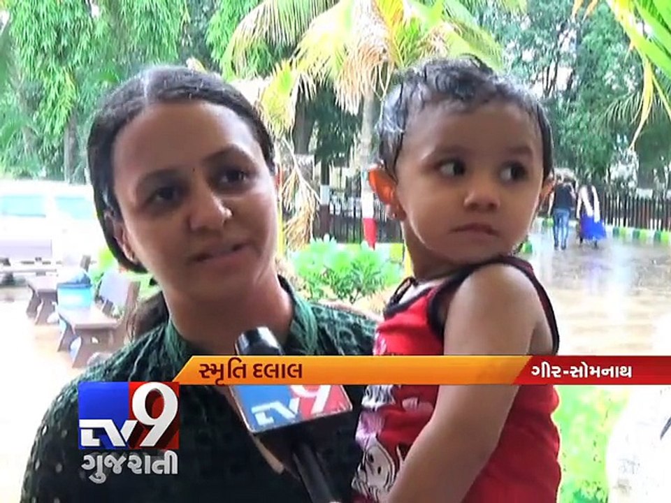 Gir lions to go on a four-month monsoon vacation - Tv9 Gujarati