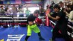 Saul 'Canelo' Alvarez works out ahead of the May 9 James Kirkland. Courtesy of Golden Boy Promotions