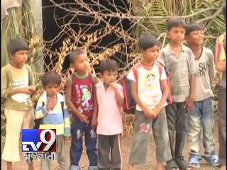 下载视频: What a paradox! Amreli pupils study in 'shacks' in Gujarat model of development - Tv9 Gujarati