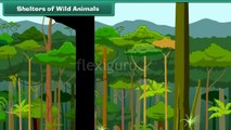 Shelters of Wild Animals