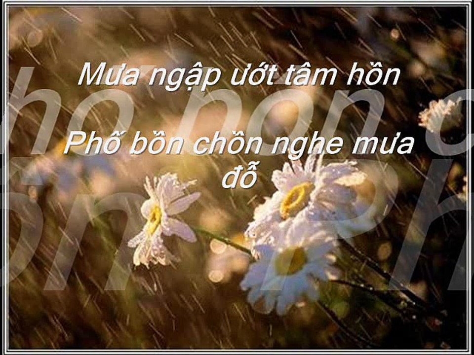 Mưa Chiều