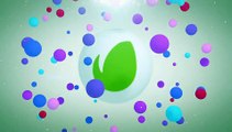 After Effects Project Files - Vibrant Particles Logo Reveal - VideoHive 8998211