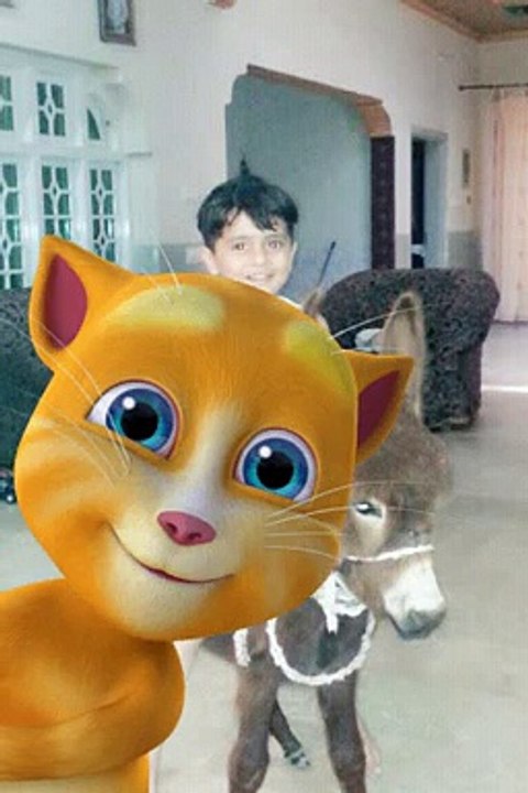TalkingTomForMessenger(84).mp4
