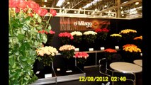 Roses For You - FlowersExpo - 2012, Moscow, Flower Expo, Flowers Expo