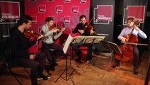 Antonín Dvořák, Quatuor américain (Finale) par le Quatuor Modigliani | Le Live de la Matinale