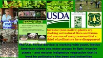 U.S. Forest Service Botanist Jan Schultz: Fighting Invasive Weeds in Midwest/Restoring Native Plants