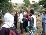 Trees uprooting Artas village,May20