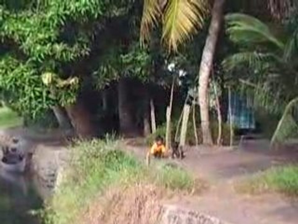 Le caca du Kerala
