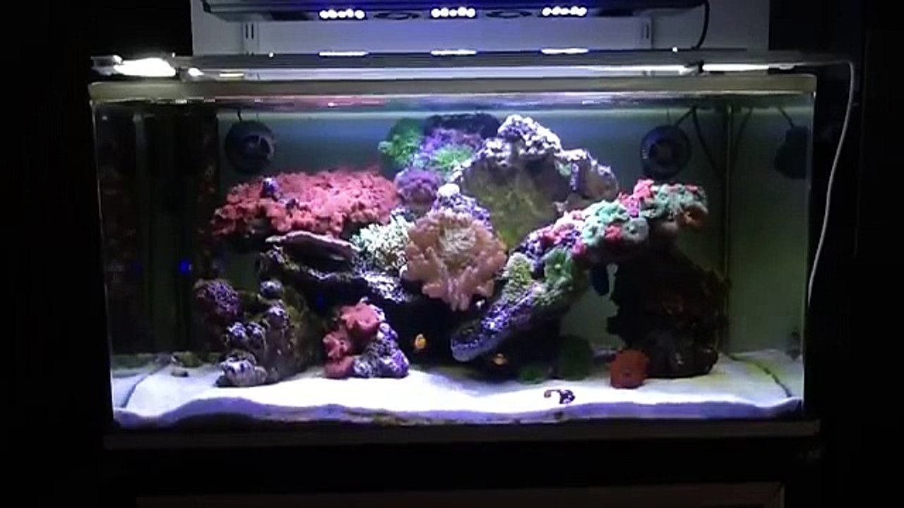 Maxspect Razor r420r 160w 16000k