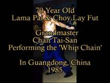 Chan Tai-San Whip Chain Demo, Guangdong, 1985