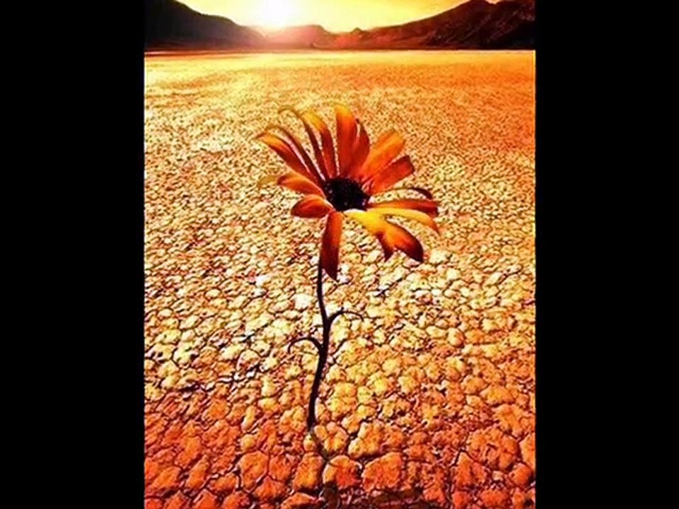 Abr e Guraizaan | Zia Anjum | Urdu Poetry
