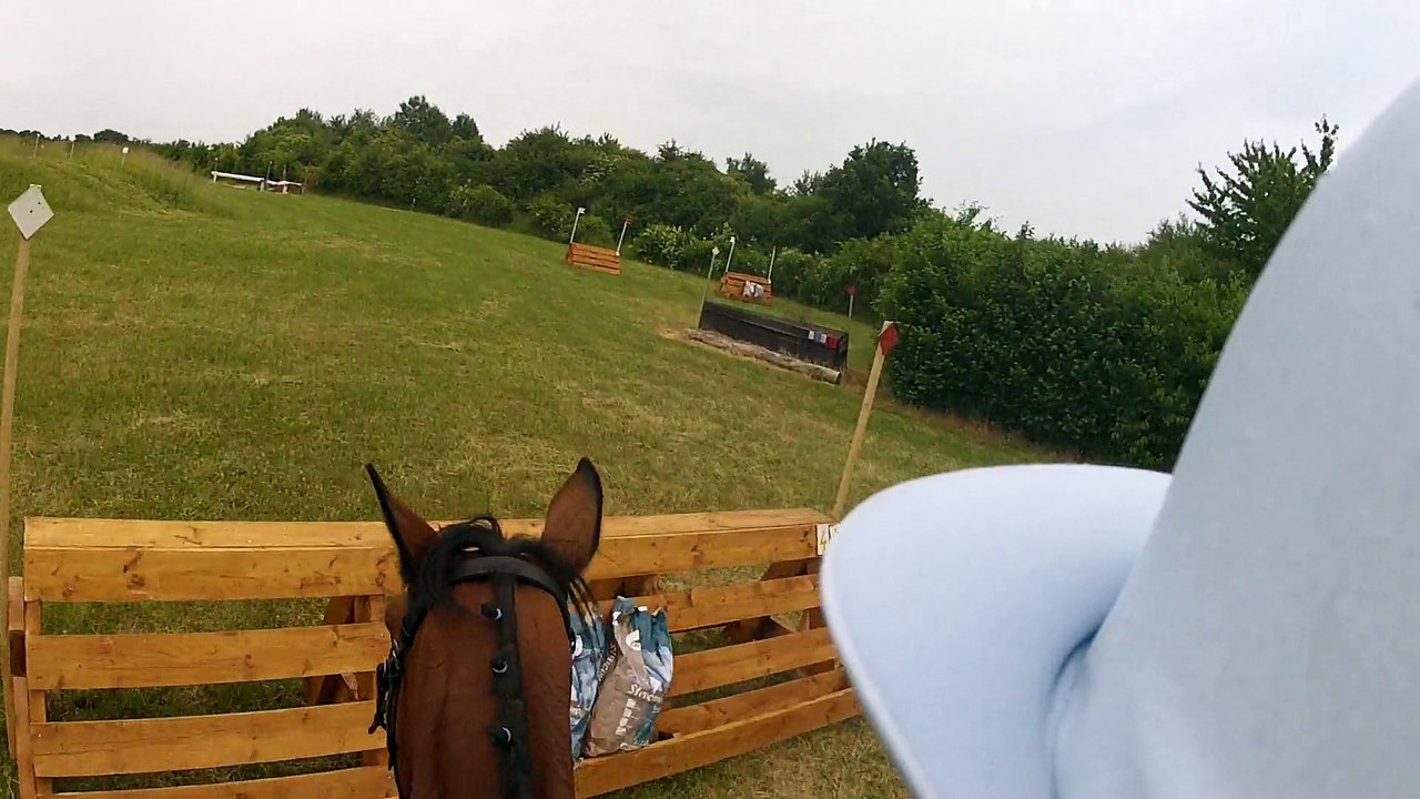 15-06-14 - CCE am2 Templiers - Croooooooss !