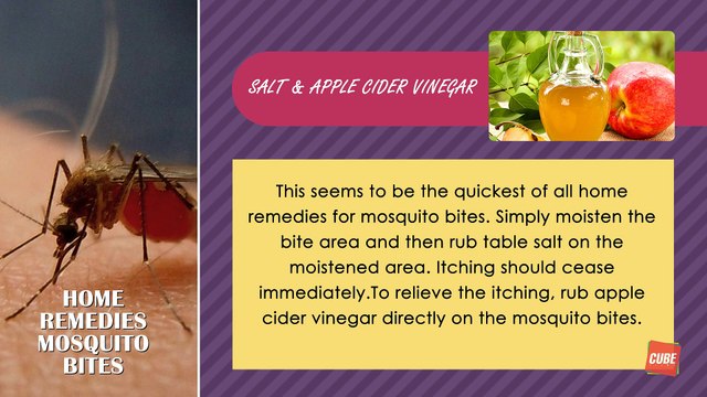 Home Remedies For Mosquito bites Health Tips Cube Films