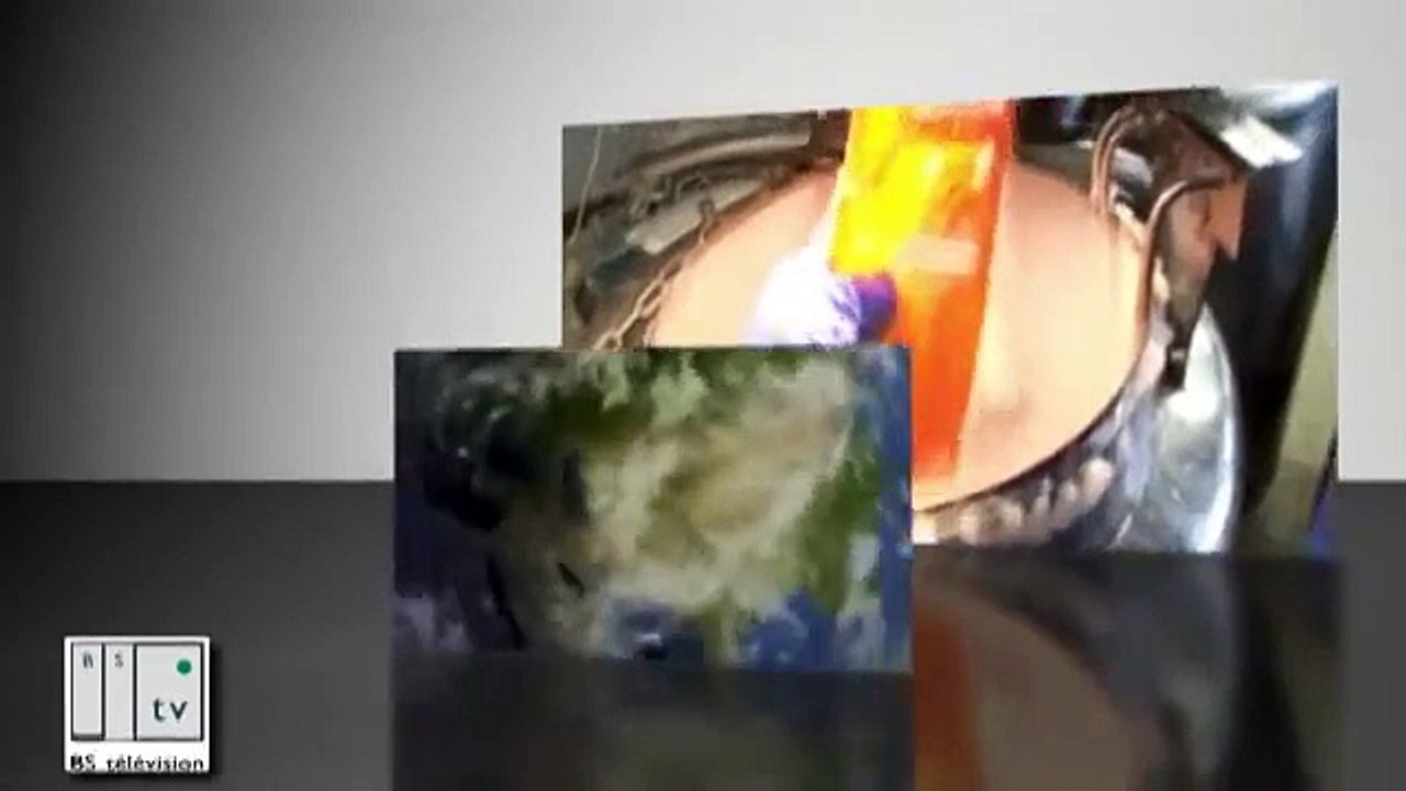 Web TV, journal télévisé interne, films institutionnels, reportages, sante humaine animale