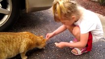 Cute Cat Rare Wild Cat and My Kids Feeding Cat  ! CRAZY !