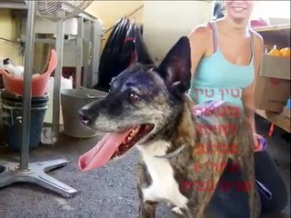 יש לי סיכוי?